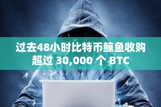 過去48小時比特幣鯨魚收購超過 30,000 個 BTC