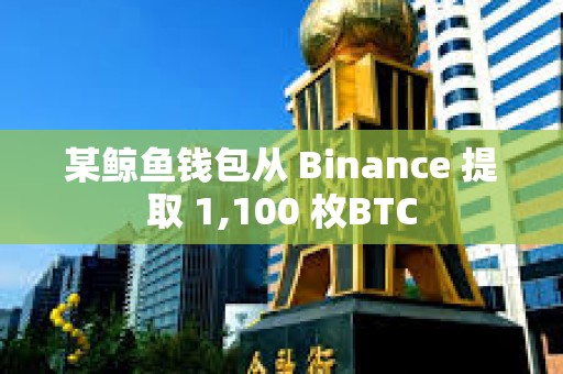 某鯨魚錢包從 Binance 提取 1,100 枚BTC