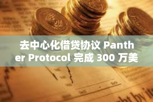 去中心化借貸協議 Panther Protocol 完成 300 萬美元種子輪融資