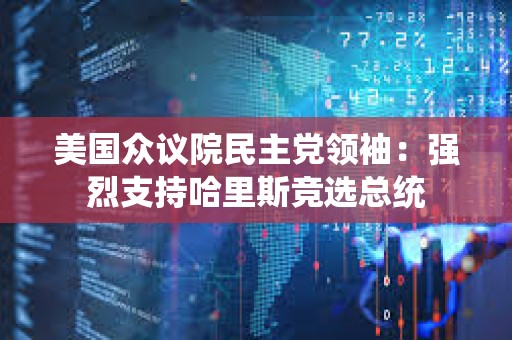 美國眾議院民主黨領(lǐng)袖：強(qiáng)烈支持哈里斯競選總統(tǒng)