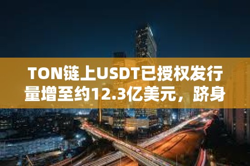 TON鏈上USDT已授權發行量增至約12.3億美元，躋身前五