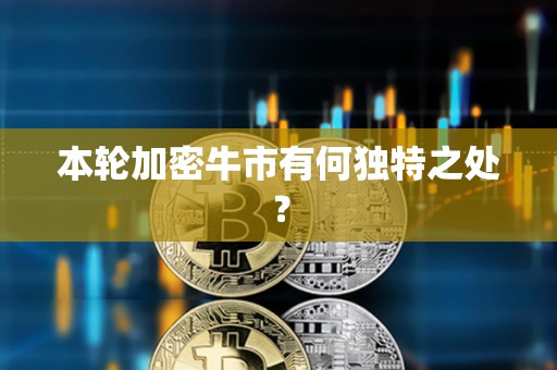 本輪加密牛市有何獨特之處？
