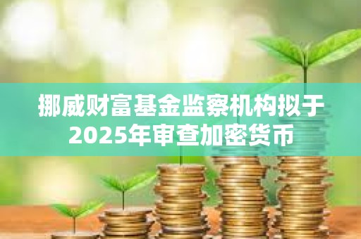 挪威財(cái)富基金監(jiān)察機(jī)構(gòu)擬于2025年審查加密貨幣