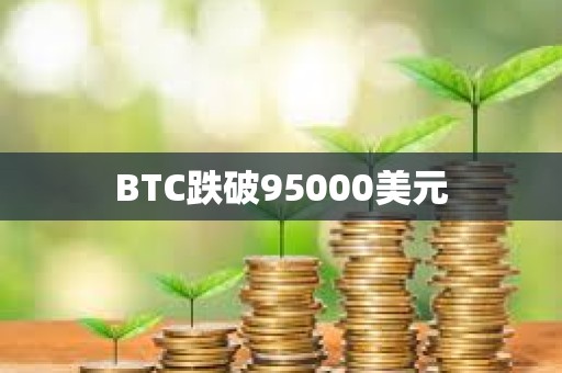 BTC跌破95000美元