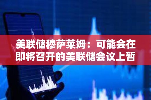 美聯儲穆薩萊姆：可能會在即將召開的美聯儲會議上暫停降息