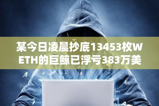 某今日凌晨抄底13453枚WETH的巨鯨已浮虧383萬美元