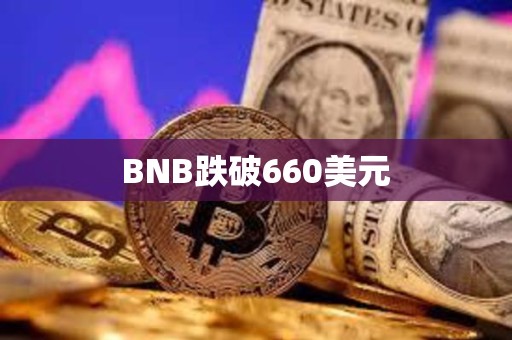 BNB跌破660美元