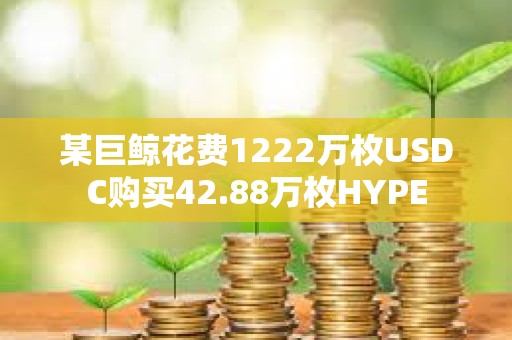 某巨鯨花費1222萬枚USDC購買42.88萬枚HYPE
