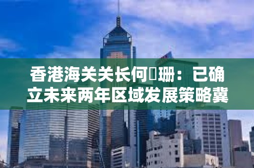 香港海關關長何珮珊：已確立未來兩年區域發展策略冀利用區塊鏈建立認證平臺