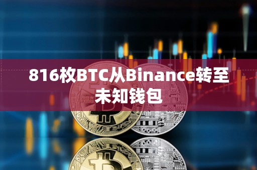 816枚BTC從Binance轉(zhuǎn)至未知錢包