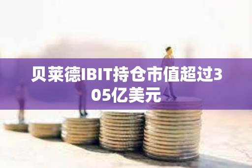 貝萊德IBIT持倉市值超過305億美元
