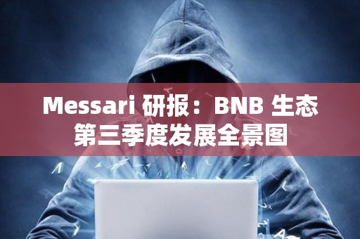 Messari 研報：BNB 生態第三季度發展全景圖