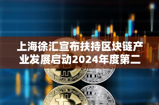 上海徐匯宣布扶持區(qū)塊鏈產(chǎn)業(yè)發(fā)展啟動(dòng)2024年度第二批項(xiàng)目申請(qǐng)
