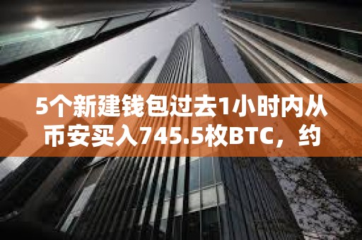 5個新建錢包過去1小時內從幣安買入745.5枚BTC，約合5900萬美元
