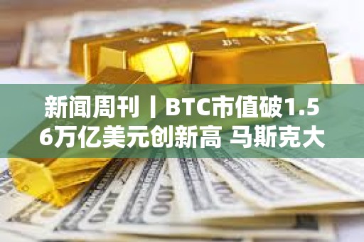 新聞周刊丨BTC市值破1.56萬億美元創新高 馬斯克大選捐款回報率已超150倍
