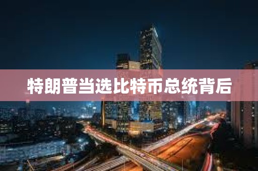 特朗普當(dāng)選比特幣總統(tǒng)背后