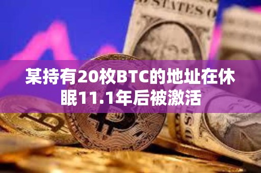 某持有20枚BTC的地址在休眠11.1年后被激活