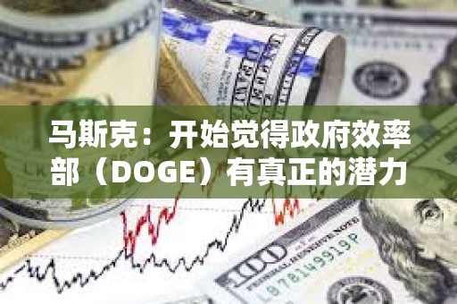 馬斯克：開始覺得政府效率部（DOGE）有真正的潛力