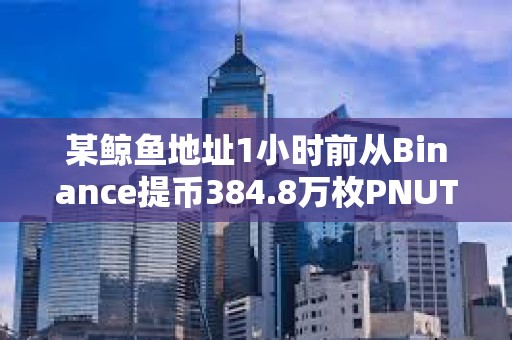 某鯨魚地址1小時前從Binance提幣384.8萬枚PNUT