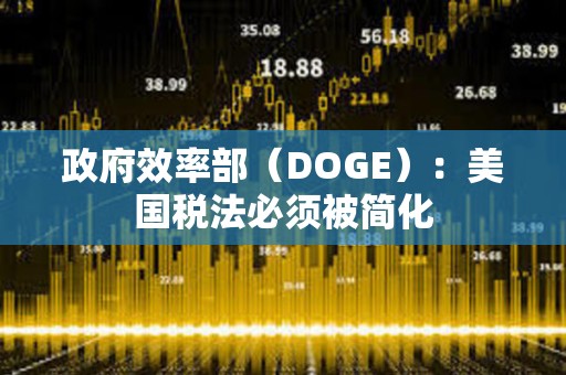 政府效率部（DOGE）：美國稅法必須被簡化