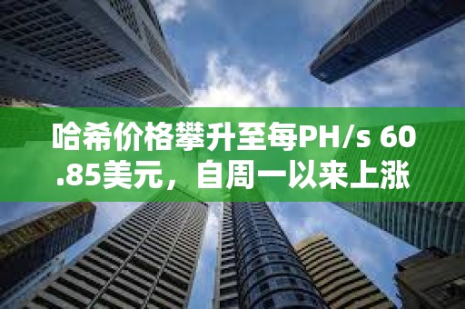 哈希價格攀升至每PH/s 60.85美元，自周一以來上漲16.53%