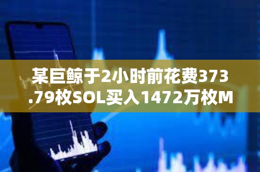 某巨鯨于2小時前花費373.79枚SOL買入1472萬枚MURAD，目前已浮虧78%