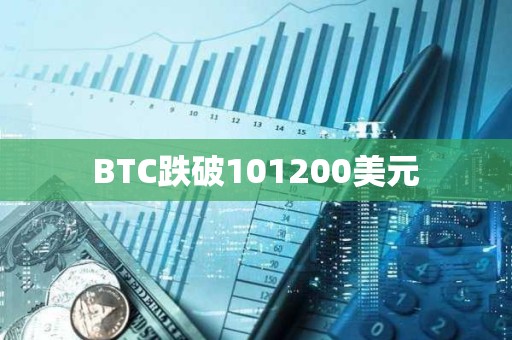 BTC跌破101200美元