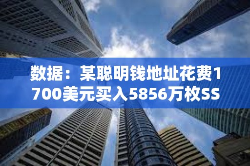 數據：某聰明錢地址花費1700美元買入5856萬枚SSE，現浮盈242萬美元