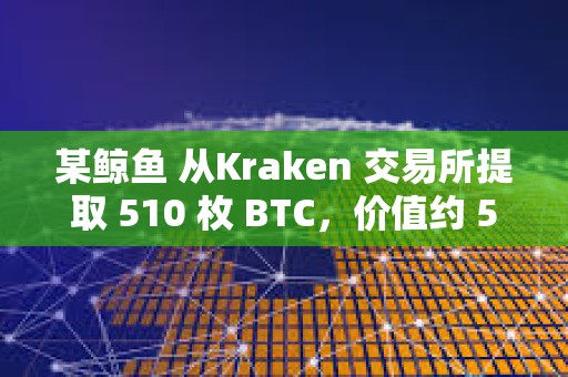 某鯨魚 從Kraken 交易所提取 510 枚 BTC，價值約 5010 萬美元