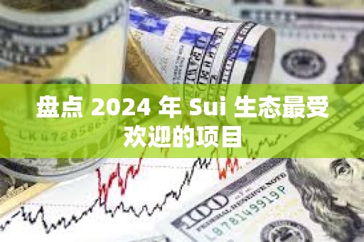 盤點 2024 年 Sui 生態(tài)最受歡迎的項目