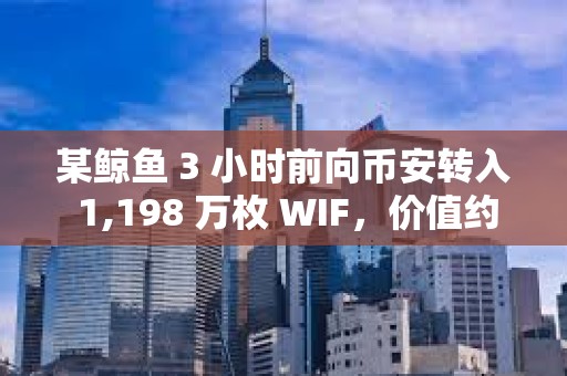 某鯨魚 3 小時(shí)前向幣安轉(zhuǎn)入 1,198 萬枚 WIF，價(jià)值約 1,750 萬美元