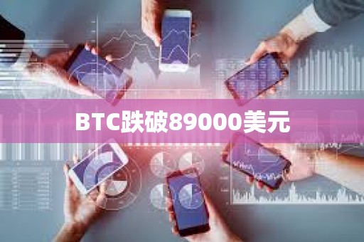 BTC跌破89000美元