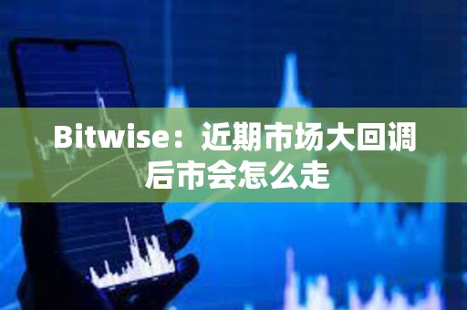 Bitwise：近期市場大回調 后市會怎么走