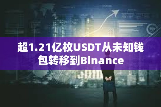 超1.21億枚USDT從未知錢包轉(zhuǎn)移到Binance