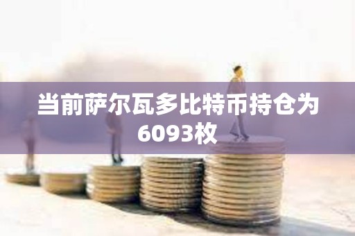 當前薩爾瓦多比特幣持倉為6093枚
