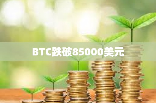 BTC跌破85000美元