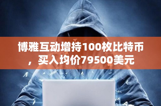 博雅互動增持100枚比特幣，買入均價(jià)79500美元