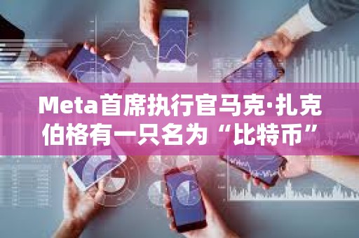 Meta首席執(zhí)行官馬克·扎克伯格有一只名為“比特幣”的寵物山羊