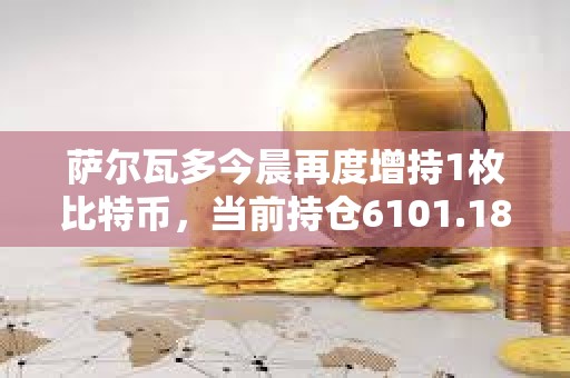薩爾瓦多今晨再度增持1枚比特幣，當前持倉6101.18枚