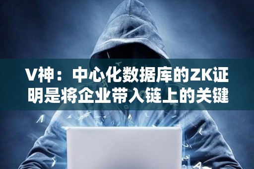 V神：中心化數據庫的ZK證明是將企業帶入鏈上的關鍵