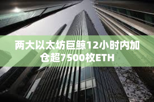 兩大以太坊巨鯨12小時內加倉超7500枚ETH