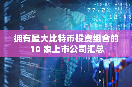 擁有最大比特幣投資組合的 10 家上市公司匯總