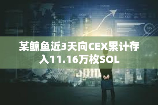 某鯨魚近3天向CEX累計(jì)存入11.16萬枚SOL