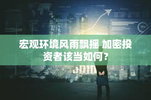 宏觀環(huán)境風(fēng)雨飄搖 加密投資者該當(dāng)如何？