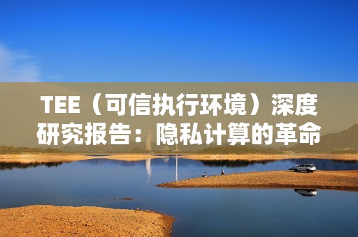 TEE（可信執行環境）深度研究報告：隱私計算的革命 Web3 的終極拼圖