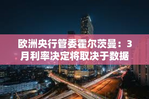歐洲央行管委霍爾茨曼：3月利率決定將取決于數據