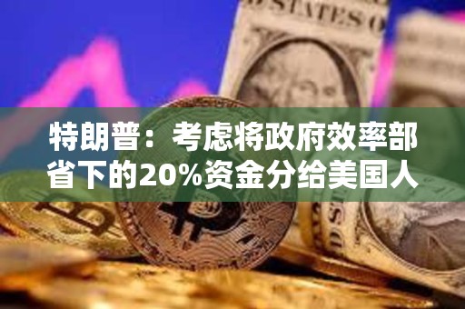 特朗普：考慮將政府效率部省下的20%資金分給美國人