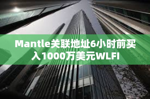Mantle關聯地址6小時前買入1000萬美元WLFI