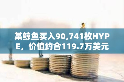 某鯨魚買入90,741枚HYPE，價值約合119.7萬美元