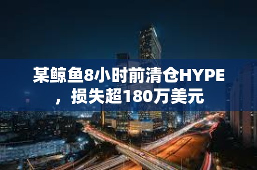某鯨魚8小時前清倉HYPE，損失超180萬美元